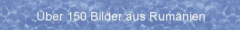 myNewBanner.jpg (8221 bytes)